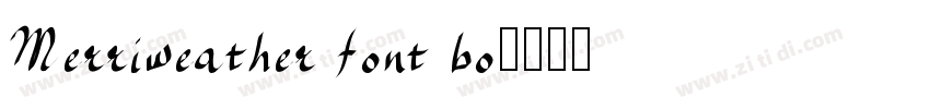 Merriweather font bo字体转换